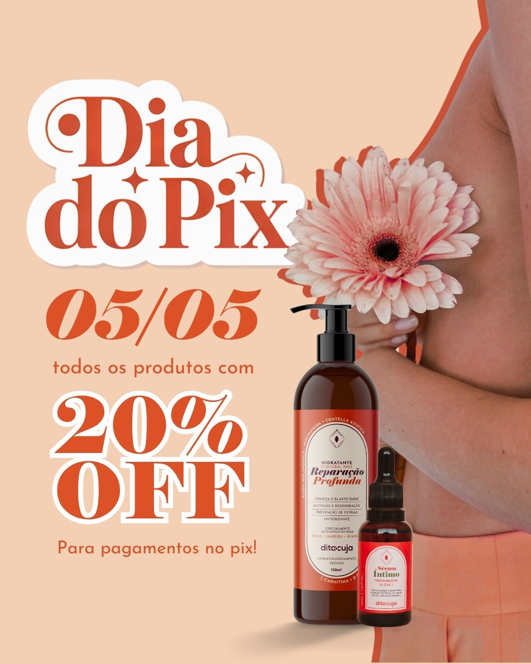 Mídia da Campanha